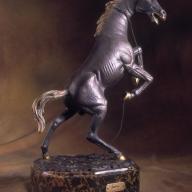 Soher Figure Wild Horse 1008 New