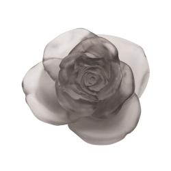 Daum Rose Passion flower