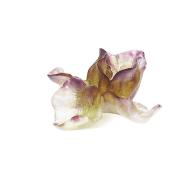 Daum Iris Flower 02503-1