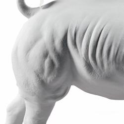 Lladro White Rhino Figurine Matt 01009116