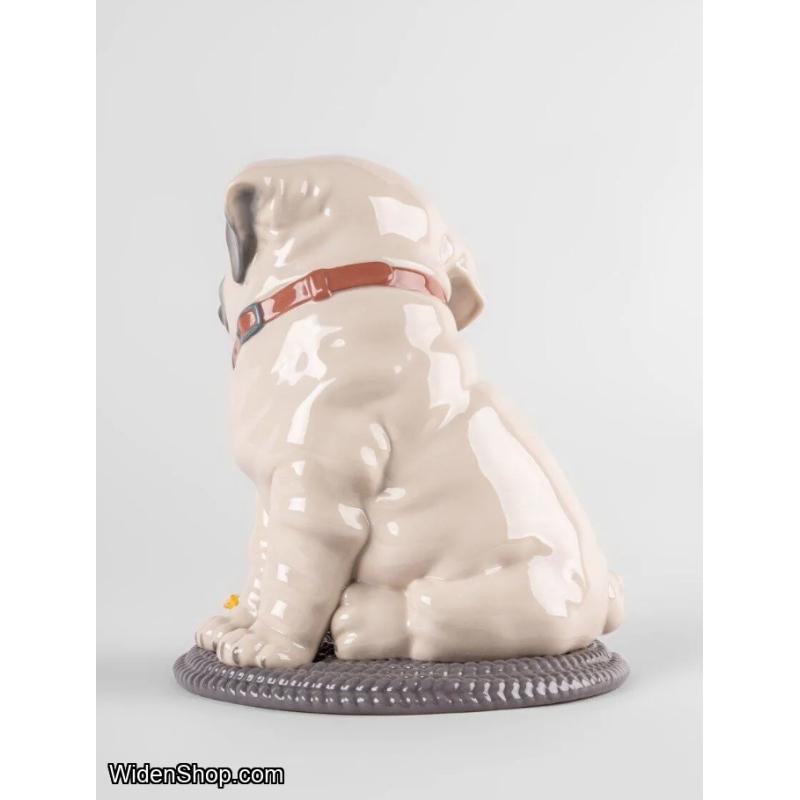 Puppie Pug Sculpture Lladro 01009689