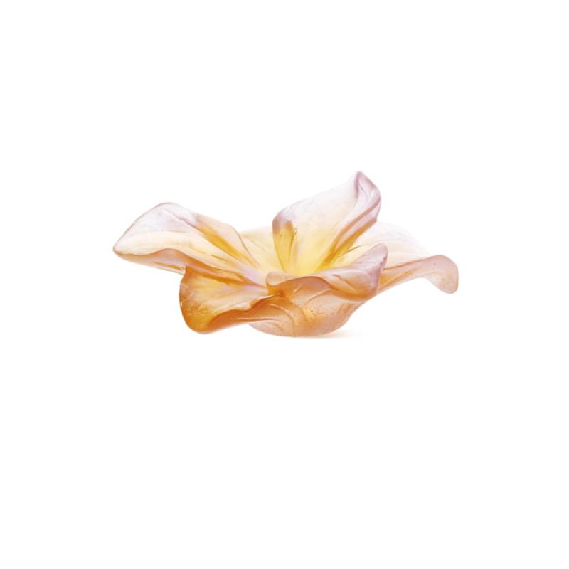 Daum Amaryllis Flower Amber 02582-1