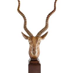 Jay Strongwater Presley Antelope Head Figurine - Natural