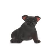 Daum Mini Puppy SKU: 05262-2/C