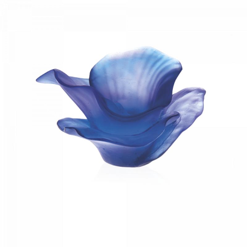 Daum Fleur a Poser Arum bleu Nuit SKU: 5651